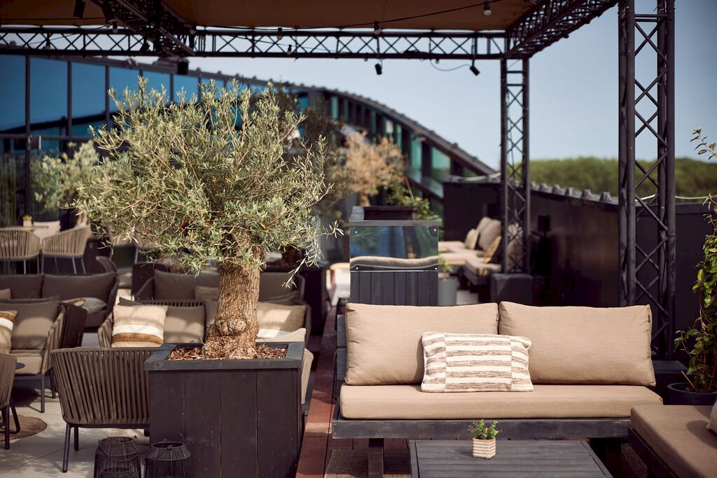Rooftop terras met grote olijfboom in zwarte plantenbak, beige loungebanken met kussens en stalen pergola