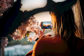 Silhouet van een vrouw die een foto maakt van de zonsondergang vanuit de skybar, omringd door roze kersenbloesems